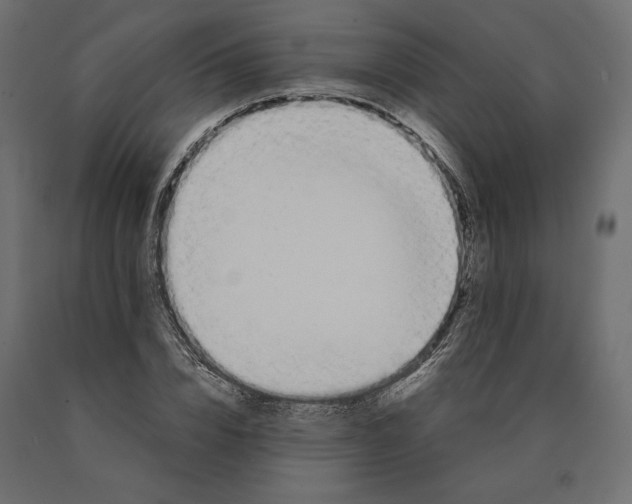 X0000090470832200708031303