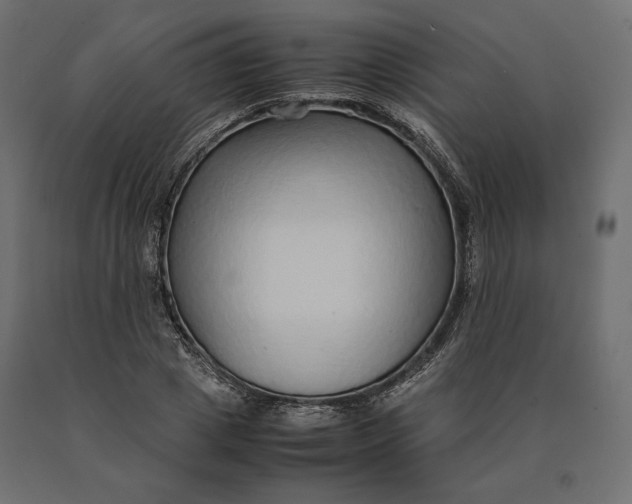 X0000090470833200708031303