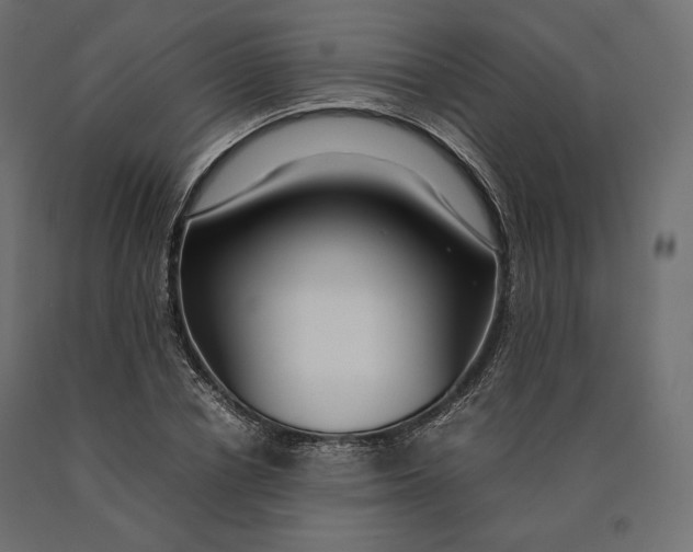 X0000090470834200708031303