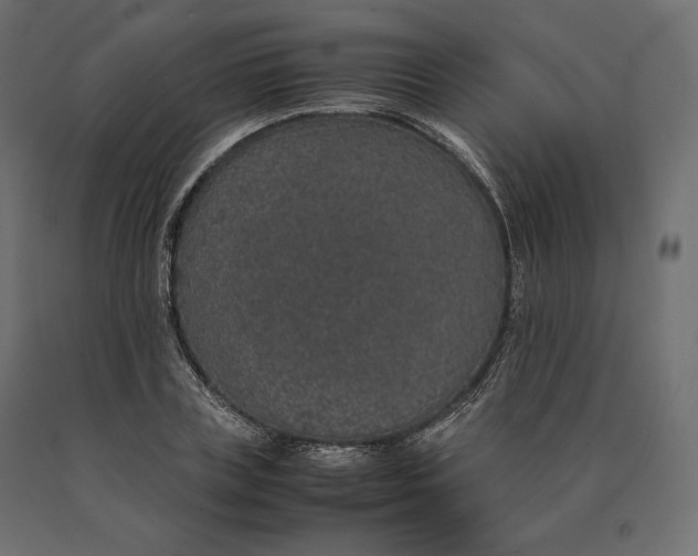 X0000090470835200708031303