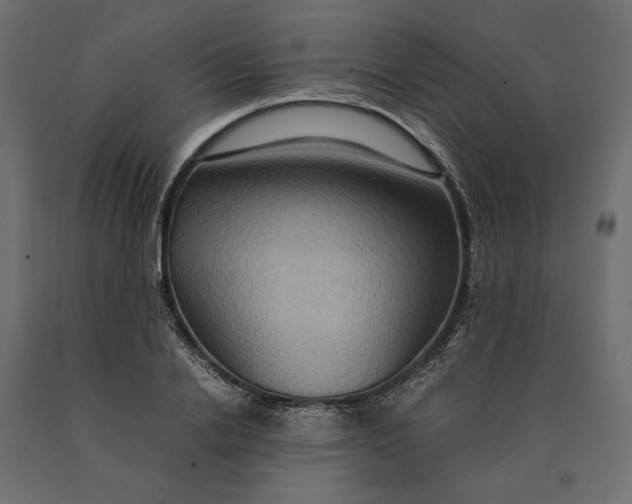 X0000090470838200708031303