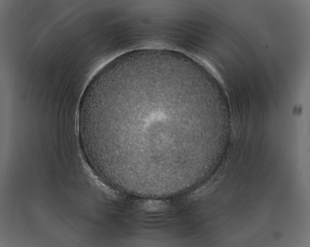 X0000090470839200708031303