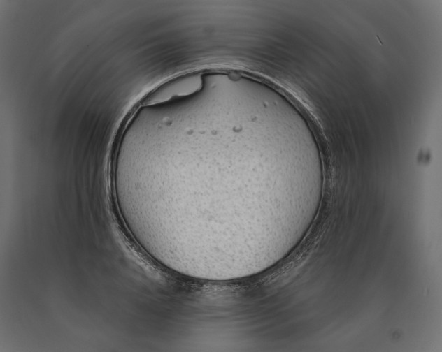 X0000090470840200708031303