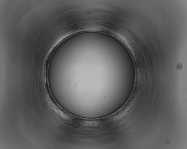 X0000090470843200708031303