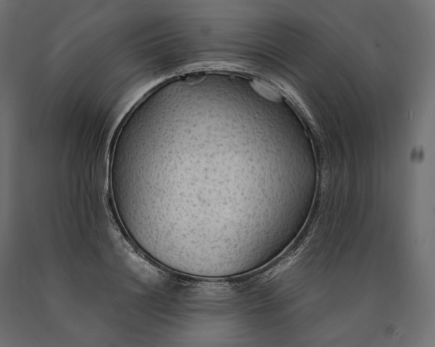 X0000090470844200708031303