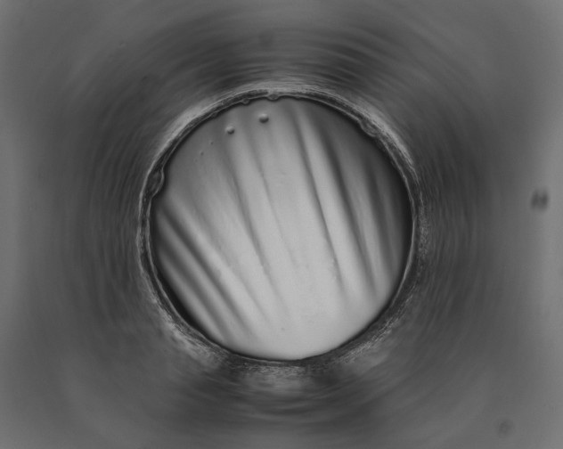 X0000090470845200708031303