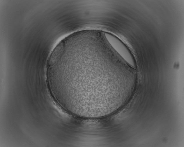 X0000090470846200708031303