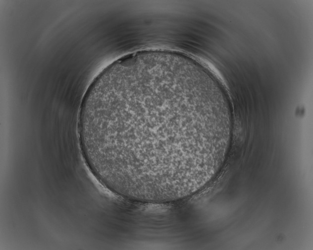 X0000090470847200708031303