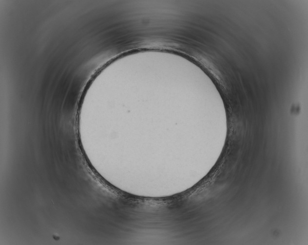 X0000090470848200708031303