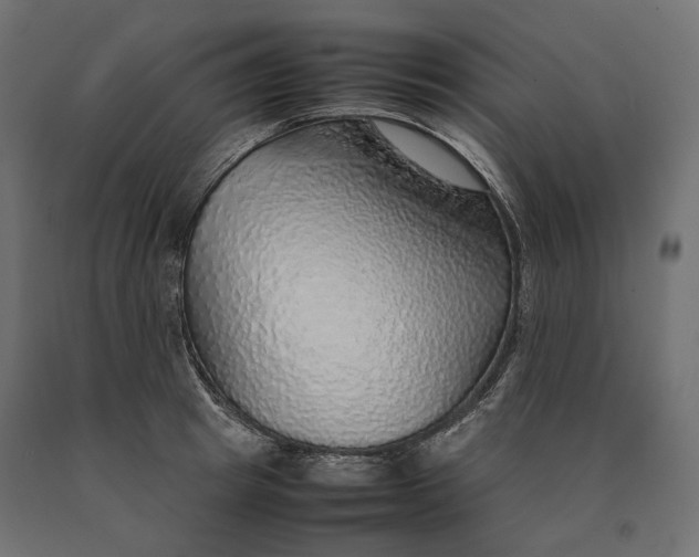 X0000090470849200708031303