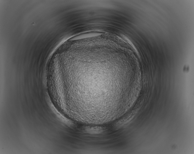 X0000090470851200708031303