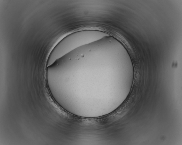 X0000090470852200708031303