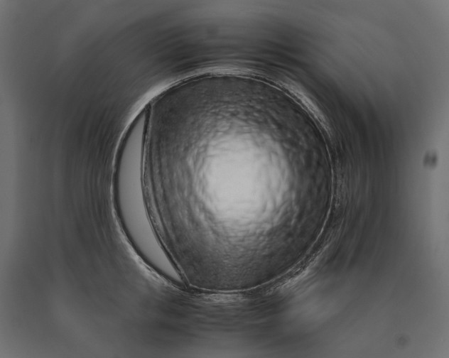 X0000090470853200708031303