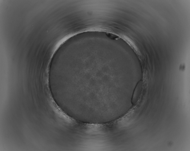 X0000090470854200708031303