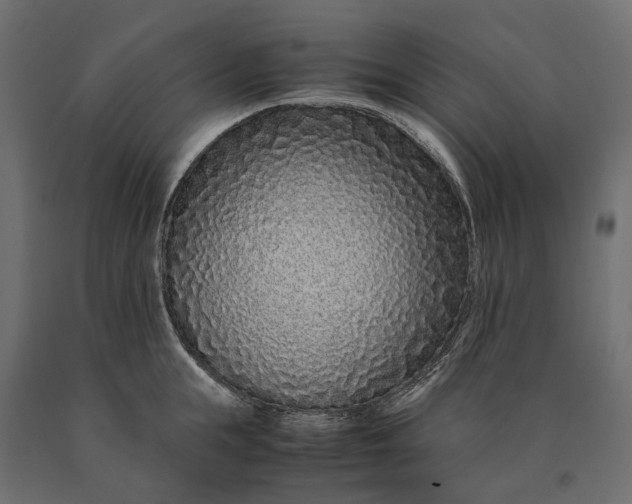 X0000090470855200708031303