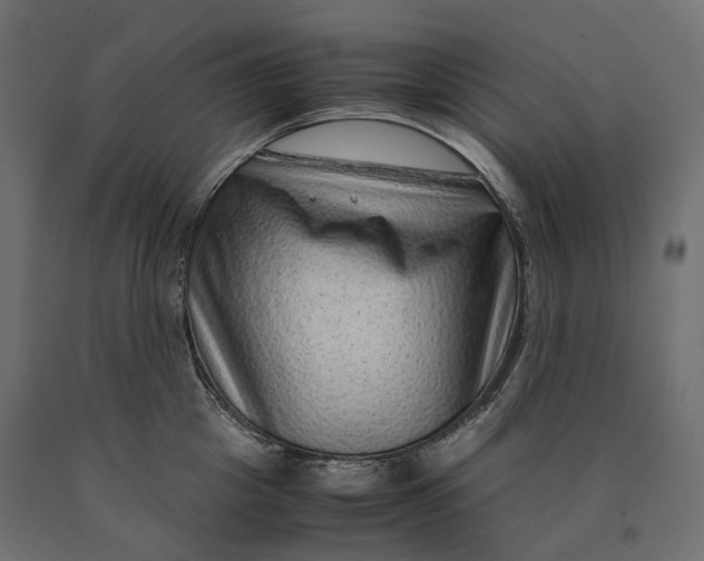 X0000090470857200708031303