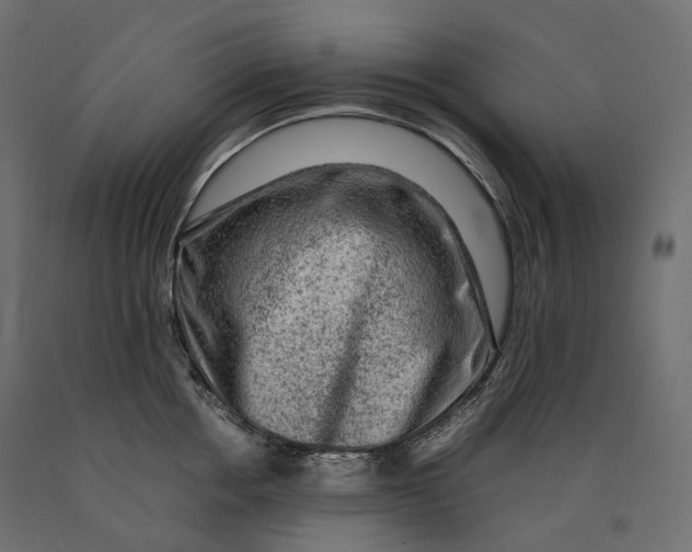 X0000090470858200708031303