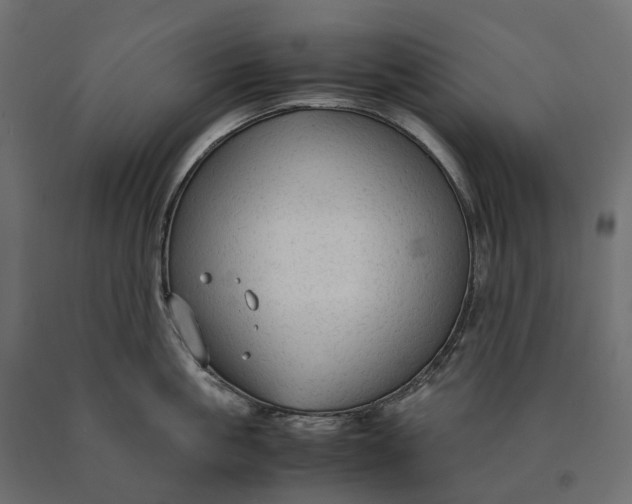 X0000090470861200708031303