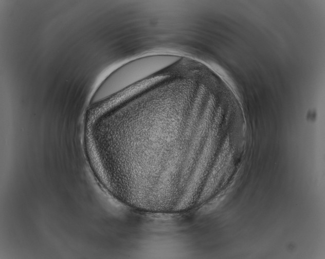 X0000090470862200708031303