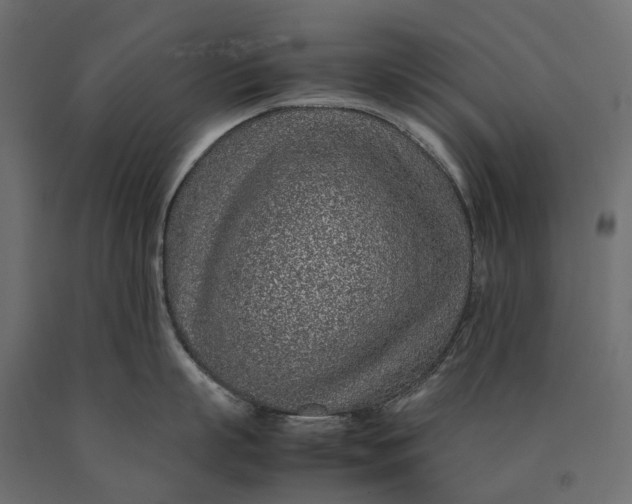 X0000090470863200708031303