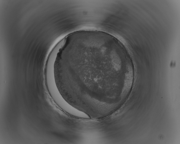 X0000090470864200708031303