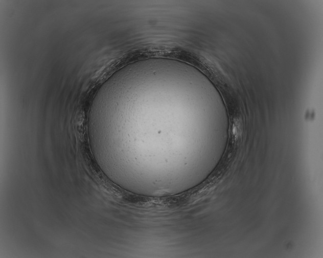 X0000090470867200708031303