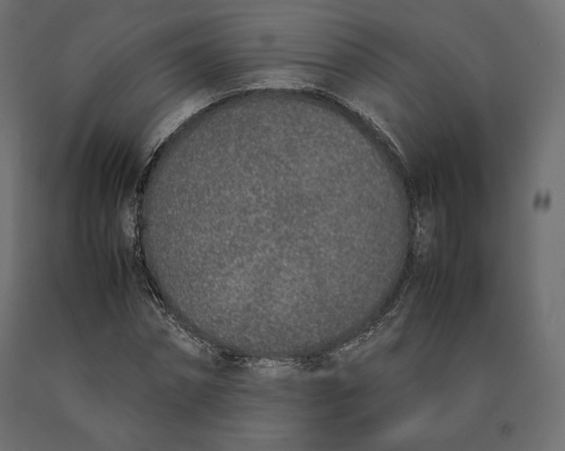 X0000090470874200708031302