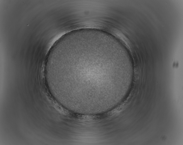 X0000090470875200708031302