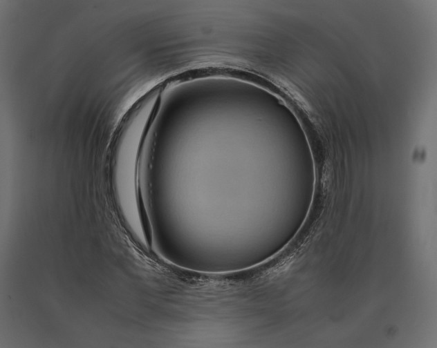 X0000090470877200708031302