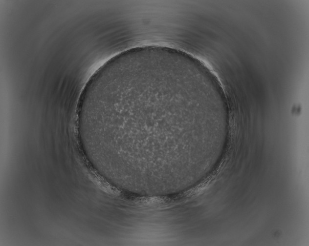 X0000090470879200708031302