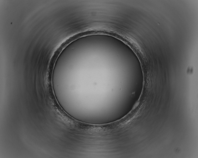 X0000090470880200708031302