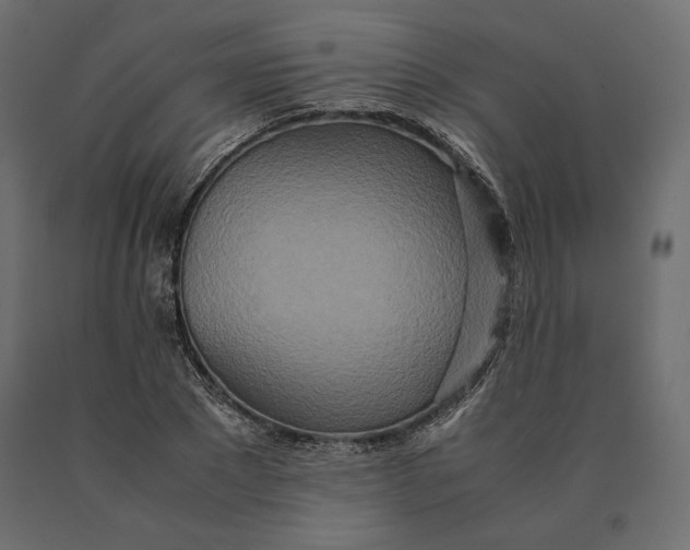 X0000090470881200708031302