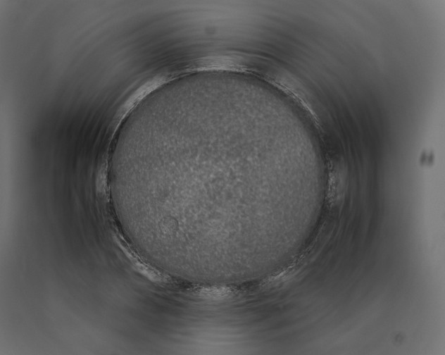 X0000090470882200708031302