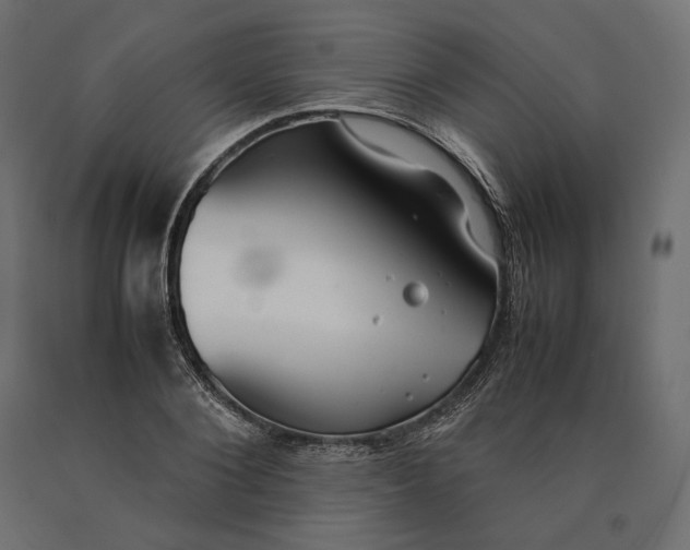 X0000090470884200708031302