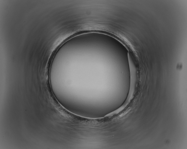 X0000090470885200708031302