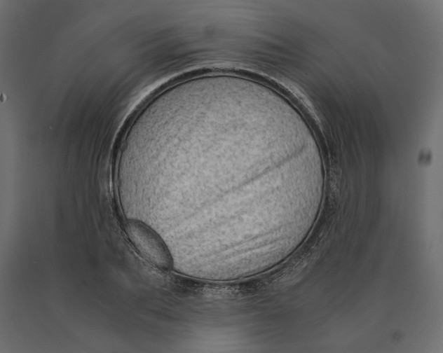 X0000090470887200708031302