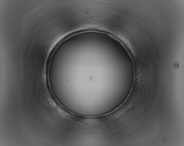 X0000090470888200708031302