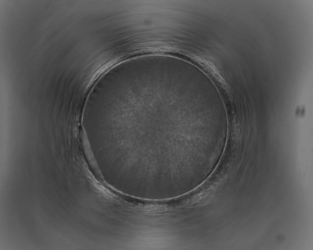 X0000090470889200708031302