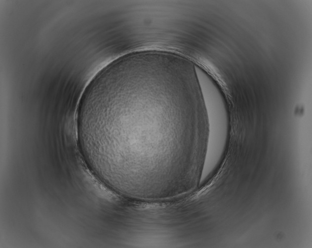 X0000090470892200708031302