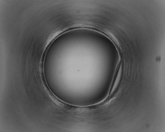 X0000090470893200708031302