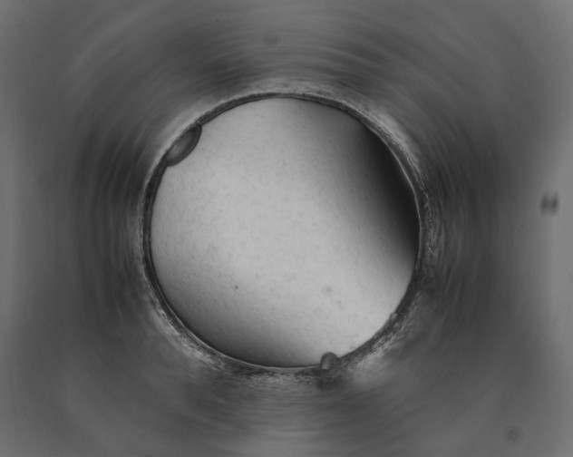 X0000090470896200708031302