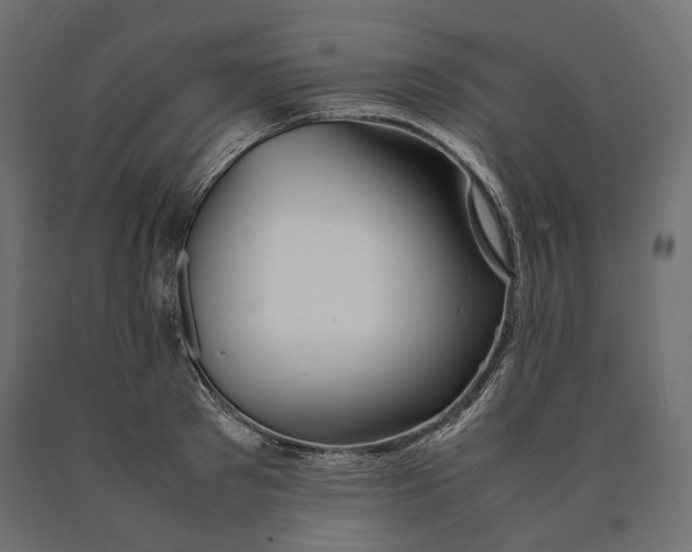 X0000090470897200708031302