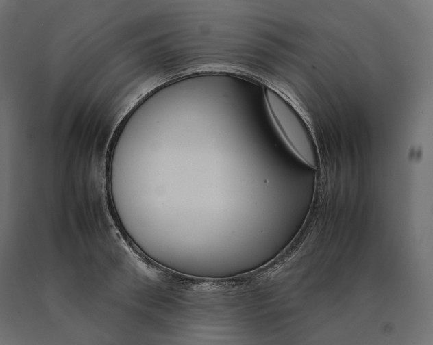 X0000090470898200708031302