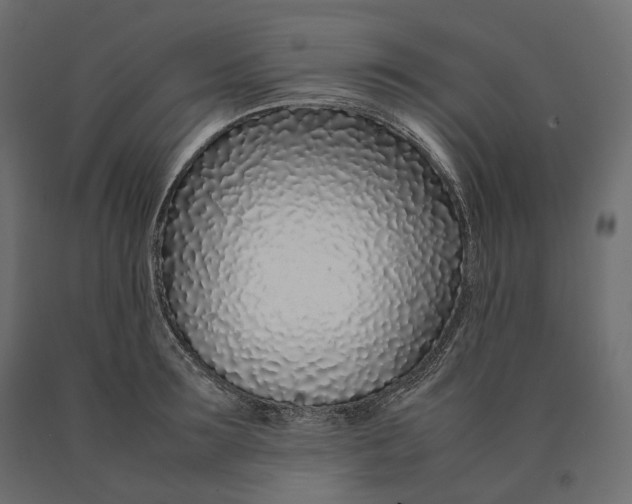 X0000090470899200708031302