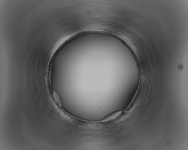 X0000090470901200708031302