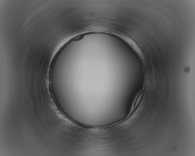 X0000090470904200708031302