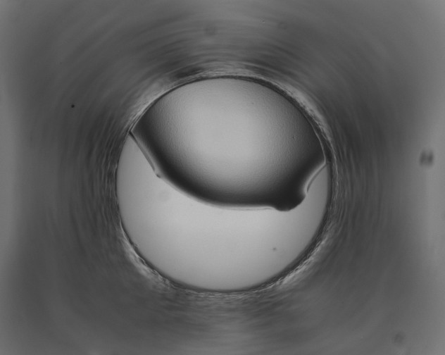 X0000090470905200708031302