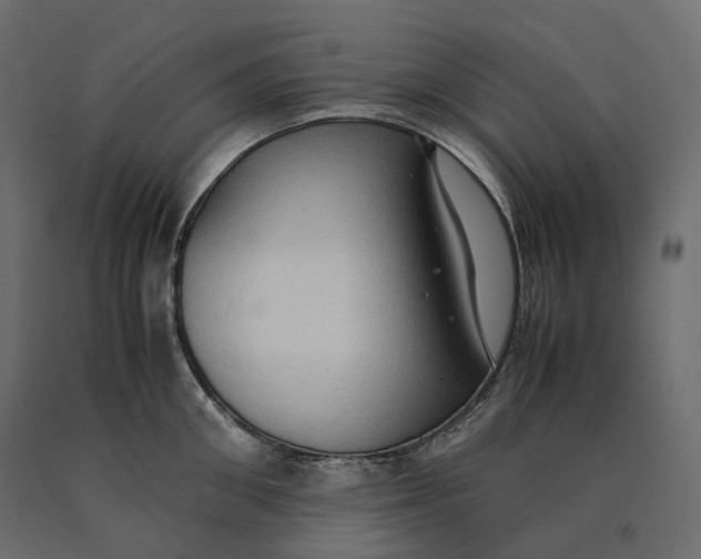 X0000090470906200708031302