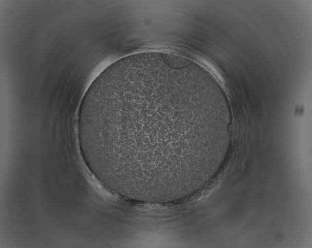 X0000090470907200708031302