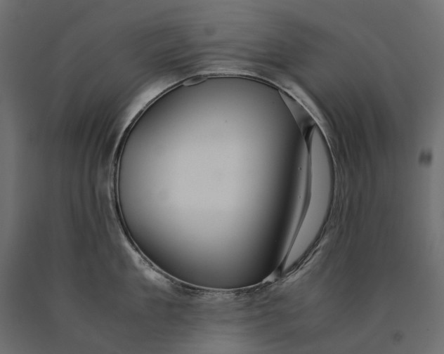 X0000090470909200708031302